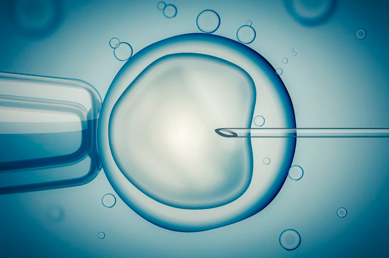 “Función ovárica en adolescentes concebidas por tecnologías de reproducción asistida”